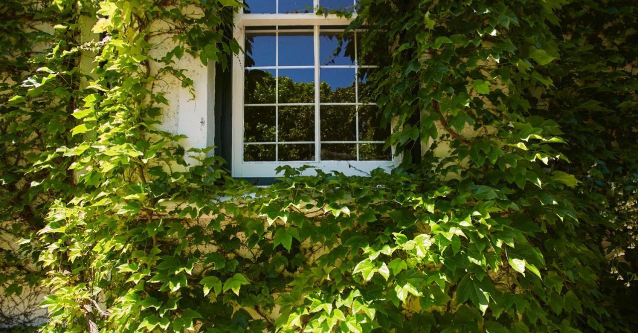 Villa Puccini ケープタウン エクステリア 写真