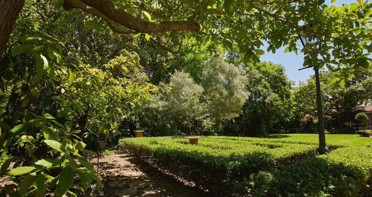 Villa Puccini ケープタウン エクステリア 写真